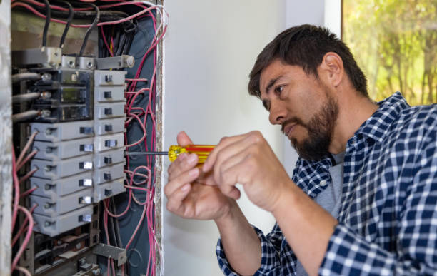 Best Electric Panel Repair  in Holcom, KS